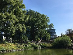 IMG_2462