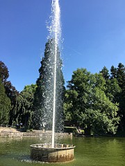 IMG_2471