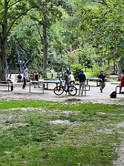 IMG_3265