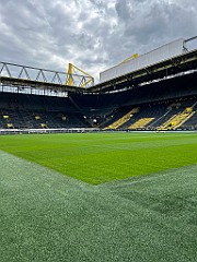 IMG_3342