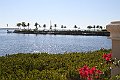 IMG_1176