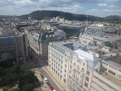 IMG_6989
