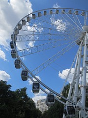 IMG_6996