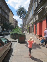 IMG_7049