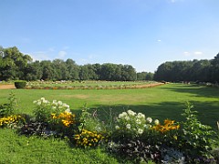 IMG_7179