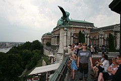IMG_7593 (2)