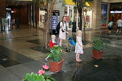 IMG_7854